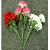 6 Trunk Carnation