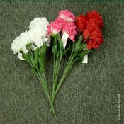 6 Trunk Carnation