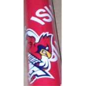 Iowa State Gift Wrap