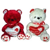 "You Are Special"  2 Color Plush Bears w/Heart