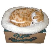 Lifelike Breathing Tabby Cat