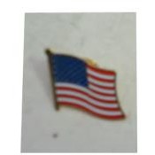 United States of America Flag Pin