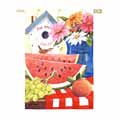 Regular Sized Flag - American Watermelon