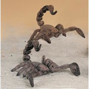 16" 2 Assorted Scorpions
