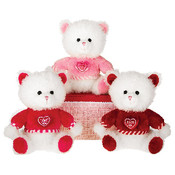 9" Sitting Kitten W/3 Asst. Valentine T-Shirts
