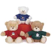 10" 3 Assorted Color T-shirt Bears