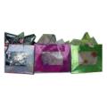 2 Tone Hologram Window Bags