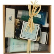 Healing Garden Juniper Therapy Set