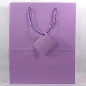 Solid Color Large Giftbags 12 Assorted Colors