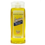Bristol Carter Shampoo Balsam &amp; Protein