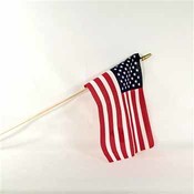 United States Flag 8" x 12"