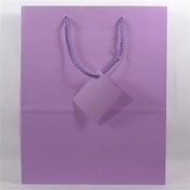 Large Solid Color Gift Bag Assortment