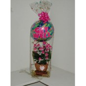 Get Well Soon Flower Basket