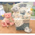 Sweet Baby of Mine New Baby Gift Basket