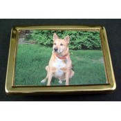 Unique Gold Tone Picture Photo Frame Belt Buckle