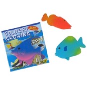 Growing Tropical Fish