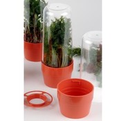 Herb Saver Counter Display