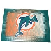 Miami Dolphins Magnet