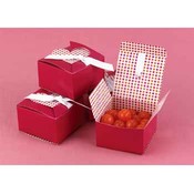 Fuchsia w/White Ribbon Dots Favors