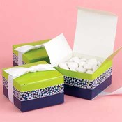 Lime and Navy Floral Stripe Favor Boxes