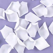 White Flower Petals