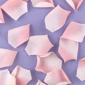 Pink Flower Petals