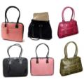 Assorted Mango Tango Women's Laptop Bags