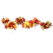 Fall Maple Bush