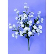 Baby Breath Gyps Bush