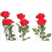 Giant Red Velvet Rose
