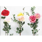 Natural Victorian Rose