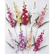 Fall Gladiola Stems