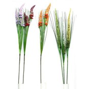 Foxtail Stem Asst