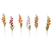 Orchid Stem
