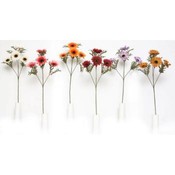 Mum Stem Spray X3