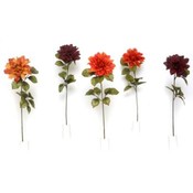 25'' Single Dahlia Stem