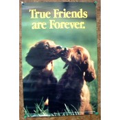 True Friends Are Forever Poster