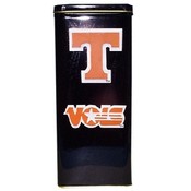 University Of Tennessee Magnet Resin   2 Assorted