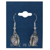 Iowa State Jewelry Earrings Assorted