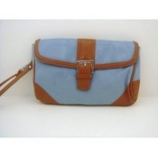 Blue Purse