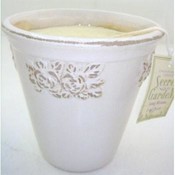 Secret Garden Honey Blossom &amp; Oat Flower Candle