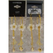 Express Earrings