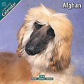 Afghan 2010 Calendar 10001-10
