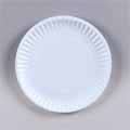 Picnic Paper Plate