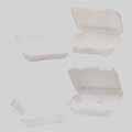 Foam Hinged Lid Carryout Containers