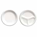 Celebrity Foam Dinnerware Plates