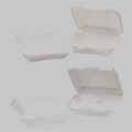 Foam Hinged Lid Carryout Containers