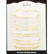 Anklet display