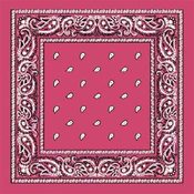 Hot Pink Paisley Bandanas - Dozen Packed 22x22
