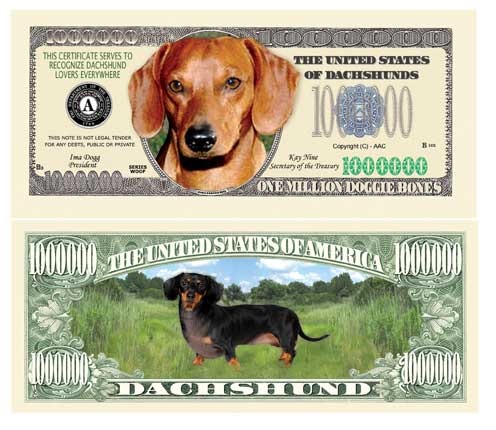 Wholesale Novelty and Fake Money